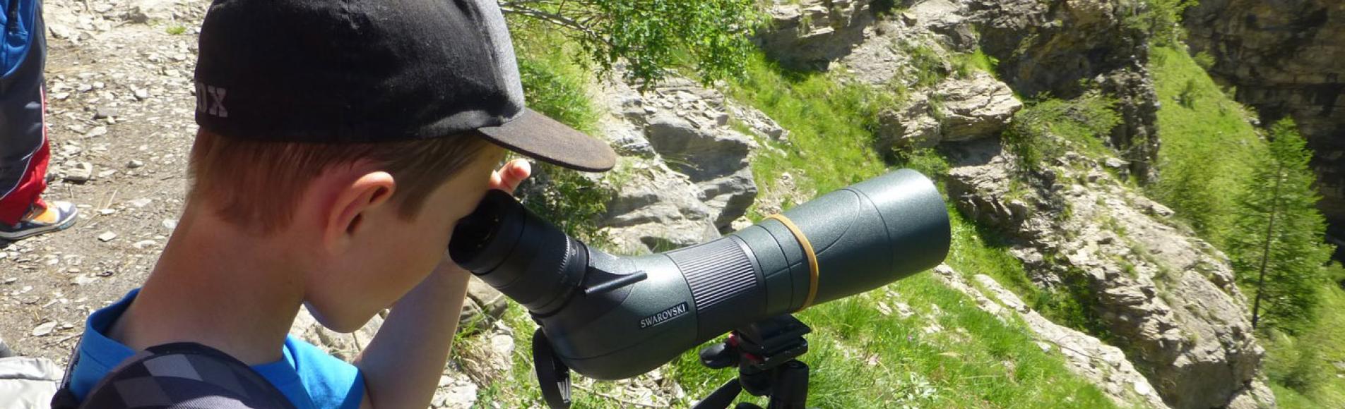 sortie école embrunais -juin 2014  avec le Parc national des Ecrins