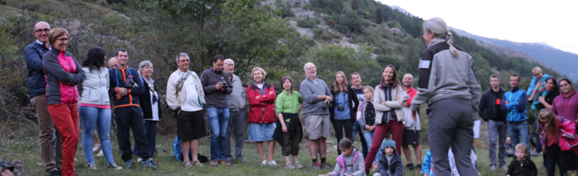 lâcher chouette hulotte au Monêtier-les-Bains - 16 août 2017 - © B Mehran - Parc national des Écrins