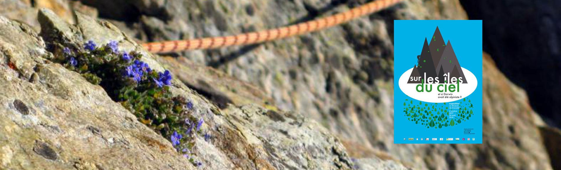 Corde et flore d'altitude - © S.Ibanez - Ecologie verticale - LECA-PNE Corde et flore d'altitude - © S.Ibanez - Ecologie verticale - LECA-PNE