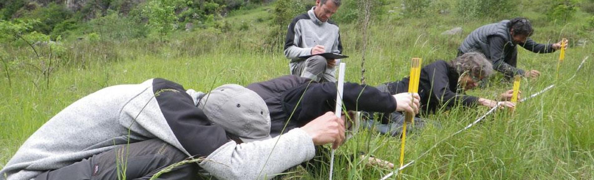 Calage mesures biomasse végétale - © Leïla Thouret - Parc national des Écrins