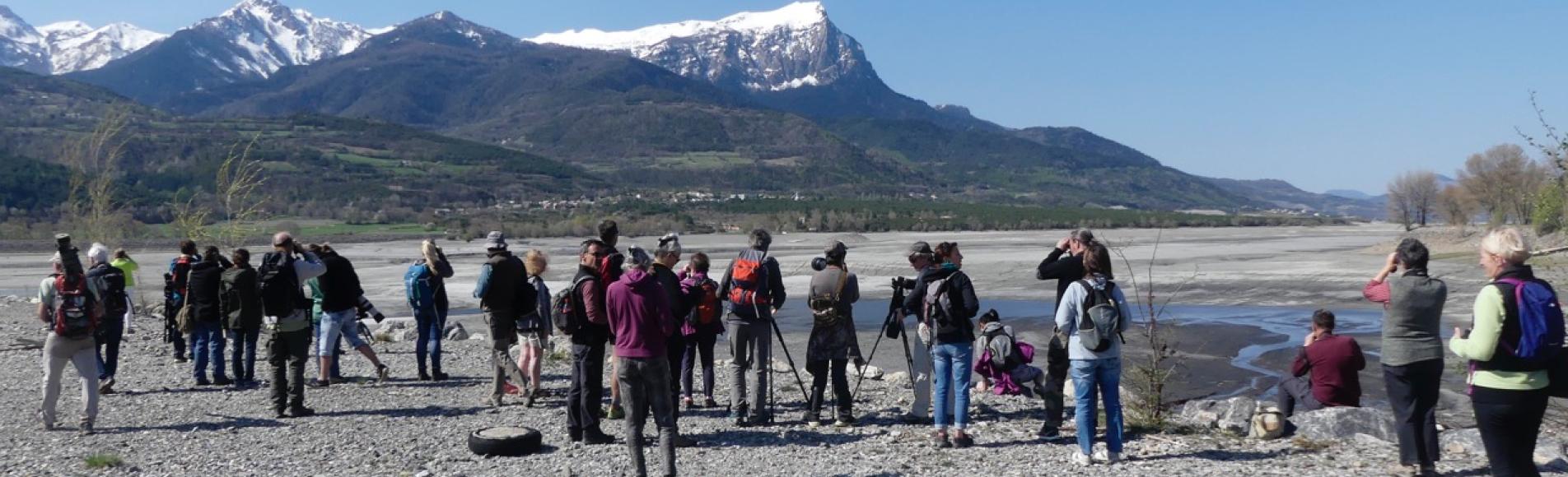 sortie migrateurs - avril 2018 - Parc national des Écrins - © Jean Paul Coulomb