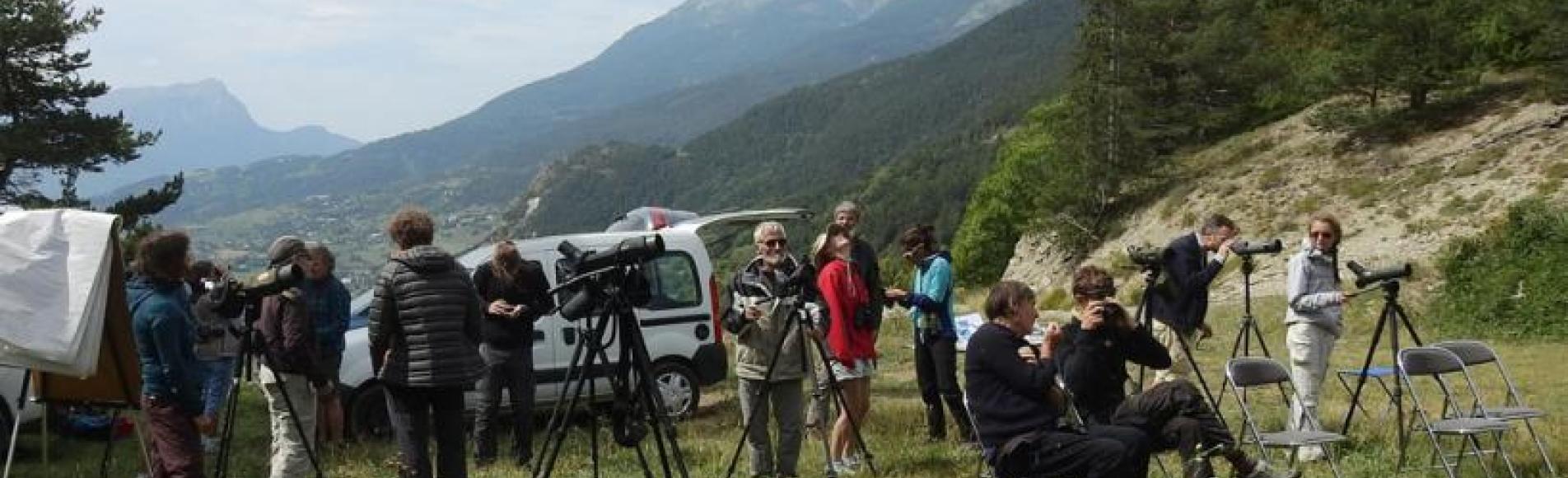 Des observateurs attentifs - comptage bondrées apivore 2018 ©  M.Hélène Fremau