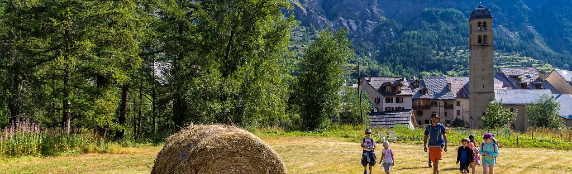 Curieux de nature, journée trappeur, construction de cabane, sortie découverte avec Cyril Mahout, accompagnateur en moyenne montagne, Bureau des guides et accompagnateurs de Serre-Chevalier, photo B.Bodin - Parc national des Ecrins