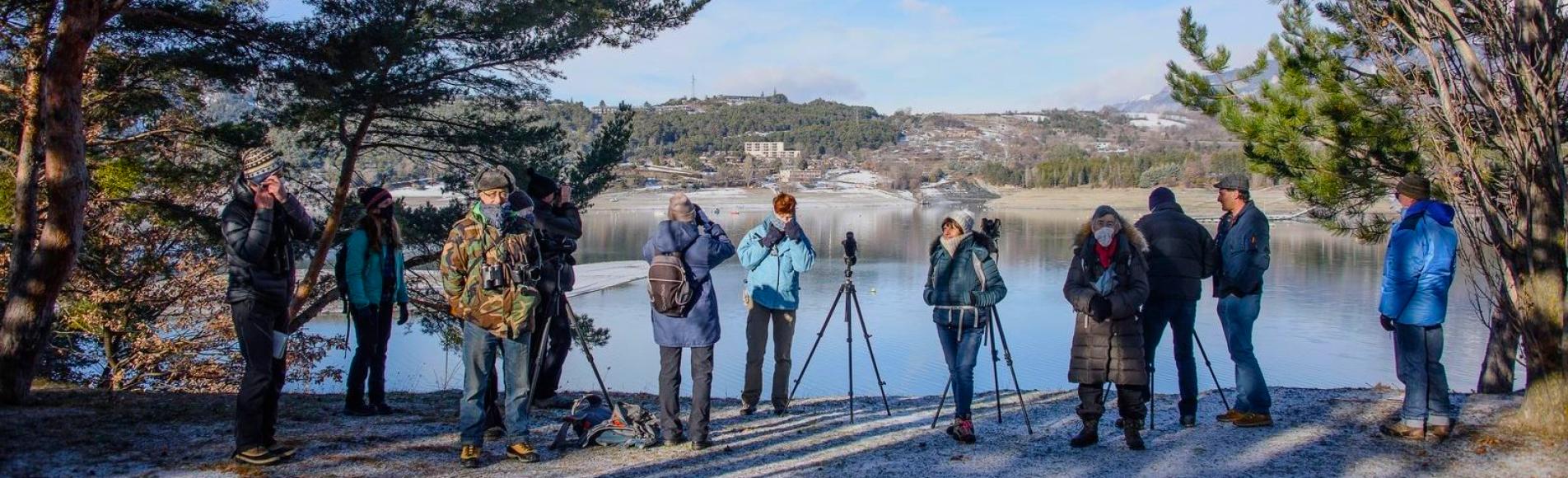 Les bénévoles à l'œuvre au lac de Serre-Ponçon - © M. Coulon - PNE Les bénévoles à l'œuvre au lac de Serre-Ponçon - © M. Coulon - PNE