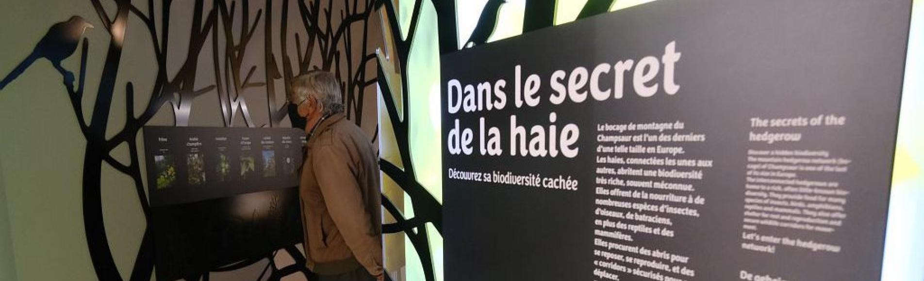 Dans le secret de la haie © D. Vincent - PNE Dans le secret de la haie © D. Vincent - PNE