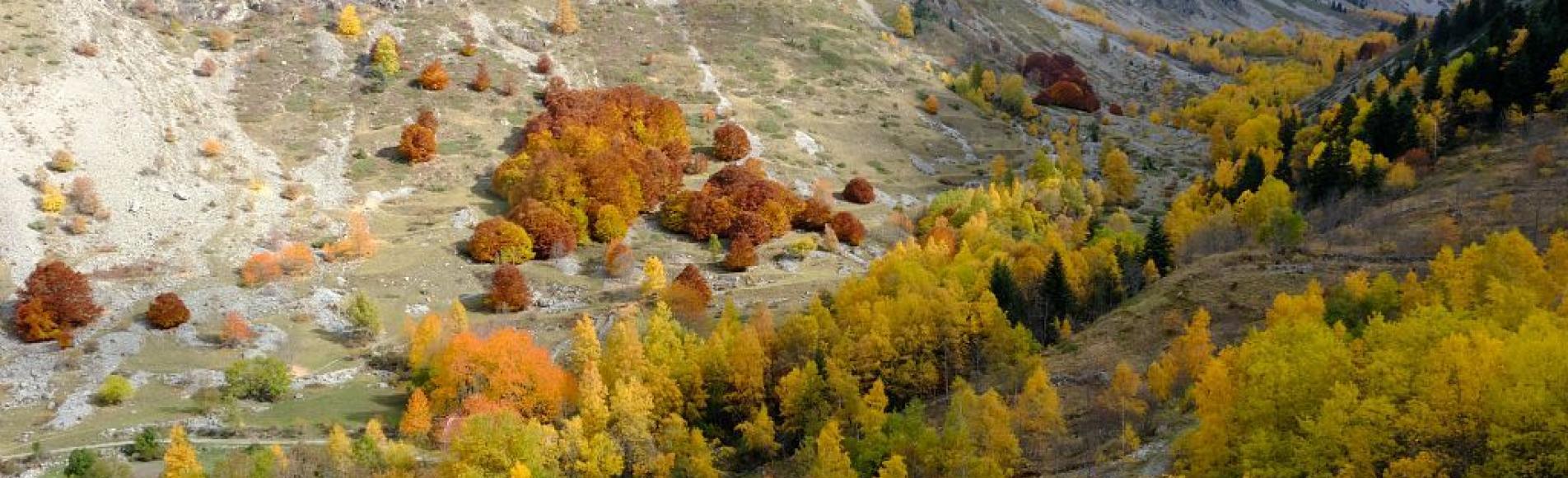Vallon de Prentiq en couleurs d'automne © Dominique Vincent - PNE Vallon de Prentiq en couleurs d'automne © Dominique Vincent - PNE
