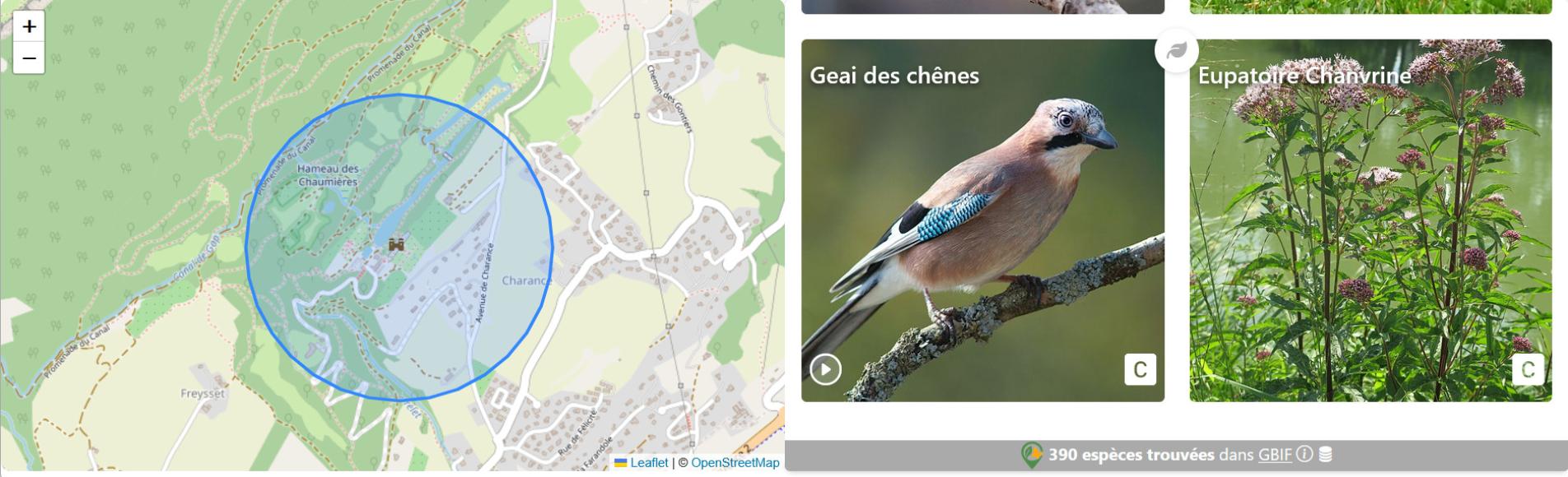 BAM (Biodiversité autour de moi)