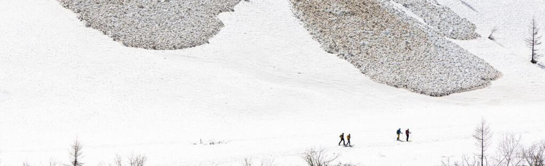 Skieurs évoluant dans un paysage enneigé