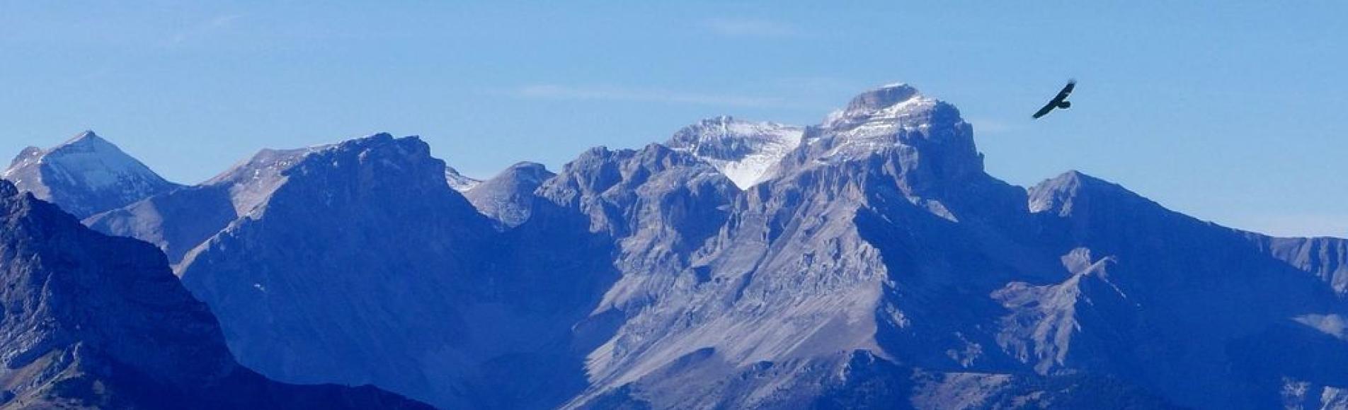 Gypaète en montant au bec de l'Aigle (Saint-Firmin en Valgaudemar) © Domonique Vincent - PNE Grand oiseau se détachant sur le ciel avec un fond de montagnes