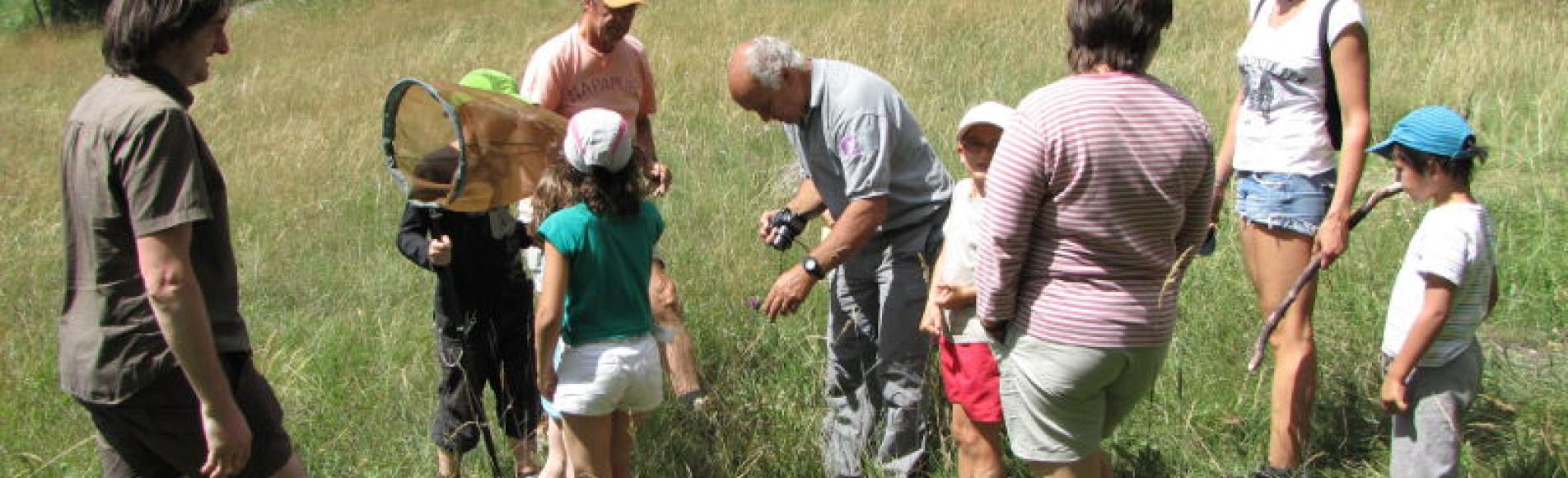 Animation papillons dans le cadre des Jeudis des refuges au refuge des Clots Mizoën - Christophe Albert - Parc national  des Ecrins