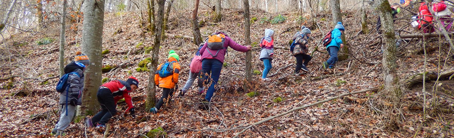 Vigie école oiseaux des jardins - ecole pont du fossé avec le Parc national des Ecrins - 2019/2020