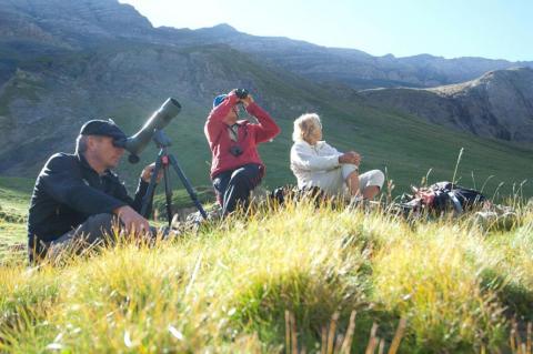 Rendez-vous avec un garde-moniteur - © PIerre Masclaux