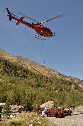 photos MW/PNRQ - nettoyage Mont Viso