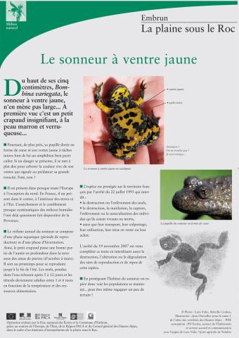 Panneau sur le sonneur à ventre jaune - plaine de Roc - PNE Embrun