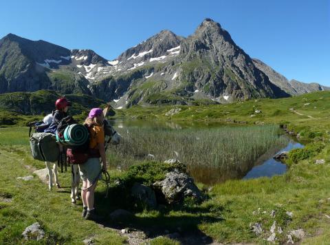 Parc des Écrins