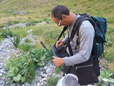 Flavia -Inventaire ATBI  Lauvitel -Parc national des Ecrins