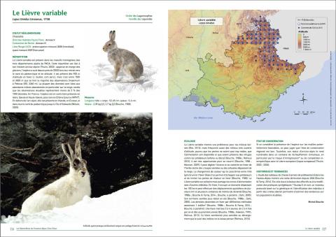 monographie lievre atlas 2016