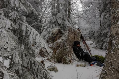 La vallée des loups, film de Jean-Michel Bertrand © B.Bodin