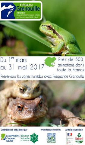 Affiche Fréquence Grenouille 2017