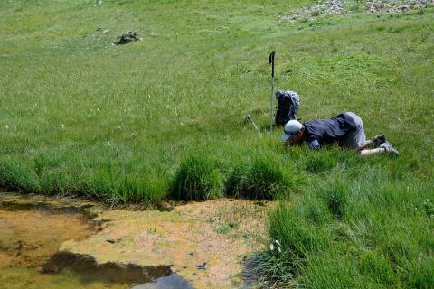 Prospection malacologie - © MCoulon - Parc national des Ecrins