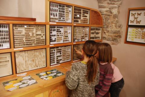 Musée St léger les mélèzes