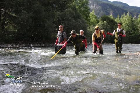 Pêche électrique - fédération départementale de pêche 05