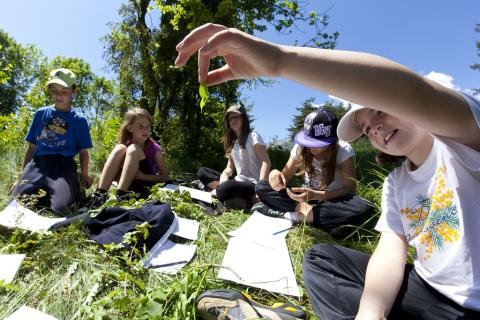 Animation scolaire - Chauffayer - © P.Saulay - Parc national des Écrins