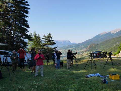 Comptage bondrées apivores - Embrunais août 2017 - © V. Zugmeyer - Parc national des Ecrins