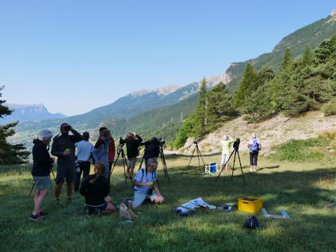 Comptage bondrées apivores - Embrunais août 2017 - © V. Zugmeyer - Parc national des Ecrins