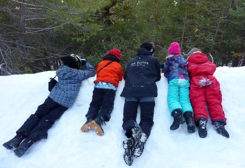 Animation "trappeurs - traces et indices" Briançon - hiver 2018 - photos C.Coursier - T.Tabainet - Parc national des Écrins