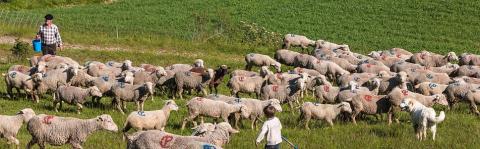 Ferme des sonnailles - Ancelle - Champsaur - © photo Bertrand Bodin - Parc national des Écrins