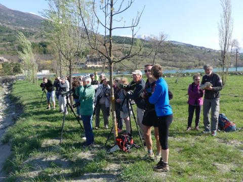 sortie migrateurs - avril 2018 - Parc national des Écrins - © Jean Paul Coulomb