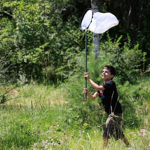 Ecrins de nature 2018 au Bourg d'Oisans - © T.Maillet - Parc national des Ecrins