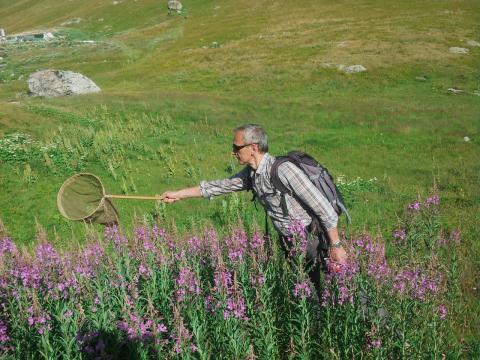 Prospection col de Sarenne - séminaire Bourdons alpins -juillet 2018 - ©  Manon Whittaker -Parc national des Écrins