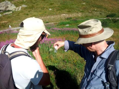 Prospection col de Sarenne - séminaire Bourdons alpins -juillet 2018 - ©  Manon Whittaker -Parc national des Écrins