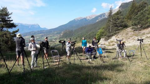 Des observateurs attentifs - comptage bondrées apivore 2018 ©  M.Hélène Fremau