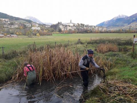 travaux mares sonneurs - novembre 2018 - Parc national des Écrins