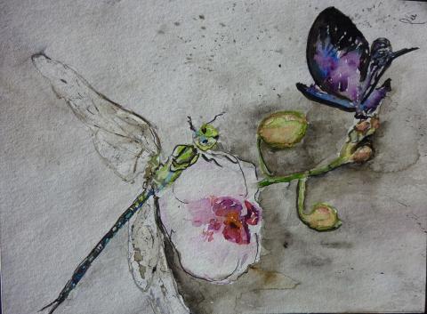 Catherine Valdenaire