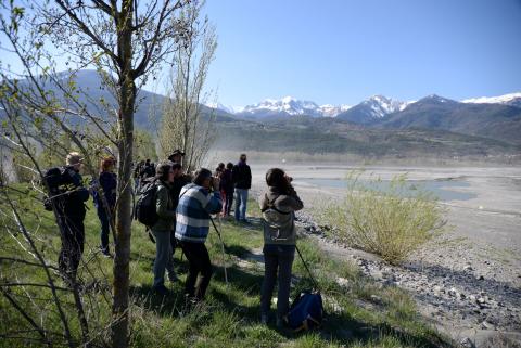 observation oiseaux migrateurs- avril 2019- © Nans Denis - Parc national des Écrins