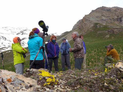 rando faune à Tramouillon avec JP Telmon garde-moniteur, Jean Guillet et Bernard Pons, photographes  - Ecrins de nature 2019 en Vallouise - © J-P Telmon -Parc national des Ecrins