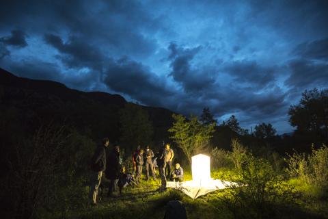 Observations nocturnes à Rama - Ecrins de nature 2019 en Vallouise - © P.Saulay-Parc national des Ecrins