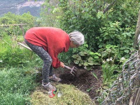 Annick Mignot à la recherche d'insectes