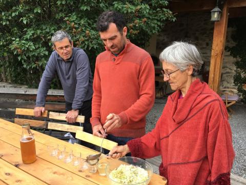 Dégustation d'une eau parfumée aux fleurs de sureau 