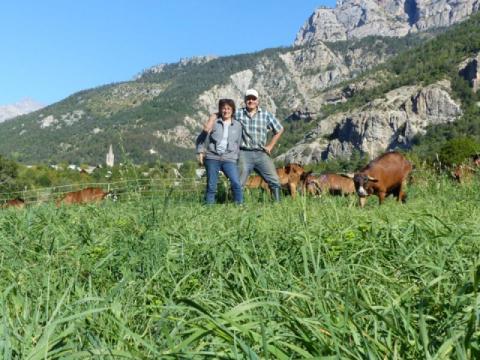 Ferme des Ecrins, éleveur de chèvres et producteurs de fromages "Esprit parc national" à La Batie des Vigneaux