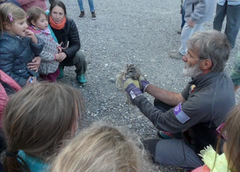 lâcher d'une chouette hulotte, sept 2019 - © Parc national des Ecrins