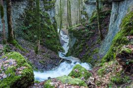 Parc national des forêts -- photo Franck Fouquet