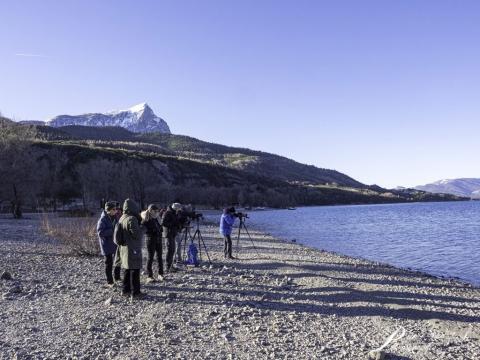 Comptage wetlands interational à serre ponçon - 2020 - photo JP Coulomb