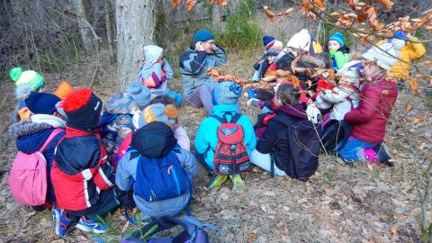 Les CP-CE1 et les oiseaux des jardins - jeunes découvreurs 2019-2020 Parc national des Ecrins