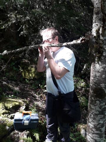 Inventaires champignons -  réserve intégrale lauvitel - Parc national des Ecrins - 2020