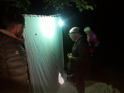 Les entomologistes du Grenha travaillent à l'nventaire des invertébrés dans le Valgaudemar - juin 2020